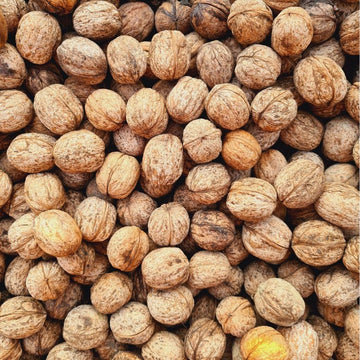 Premium Kagzi Walnuts (1 KG) | Chitrali Walnuts – CTL Dry Fruits