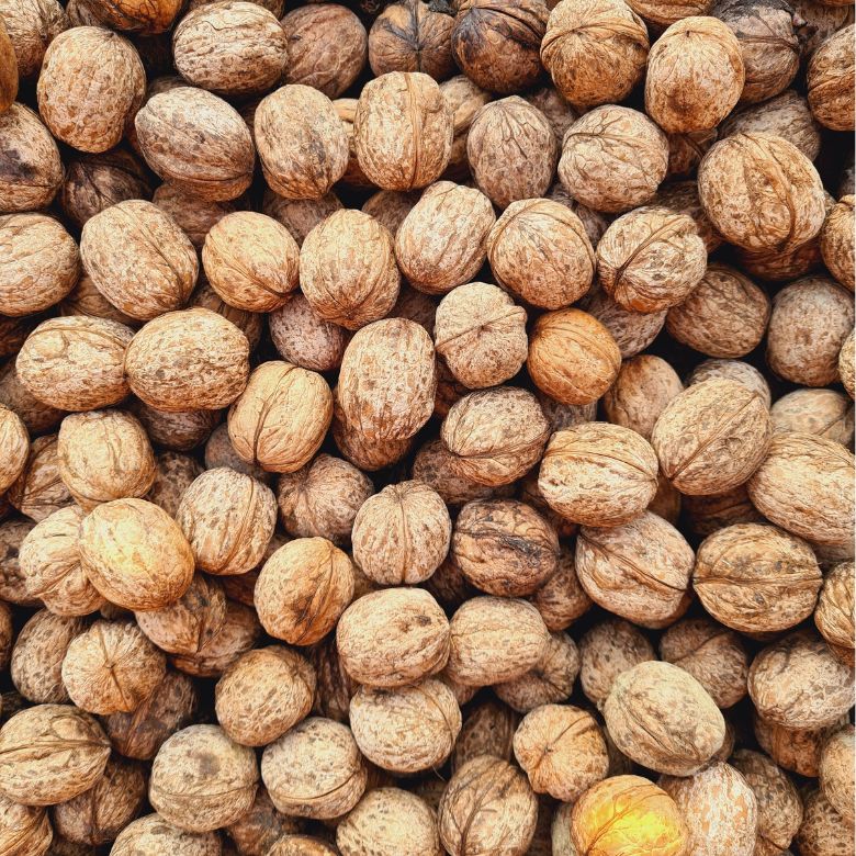 Premium Kagzi Walnuts (1 KG) | Chitrali Walnuts – CTL Dry Fruits