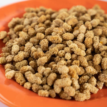 Premium Dried Mulberries (Khushk Shahtoot) | CTL Dry Fruits