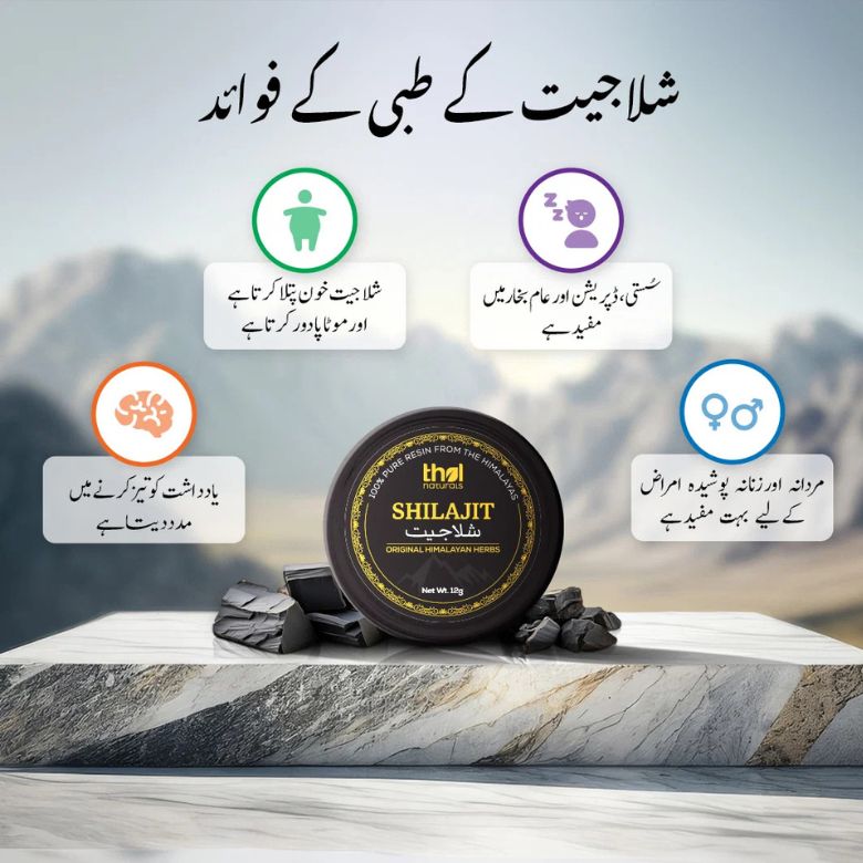 Premium Shilajit 10g | CTL Dry Fruits Pakistan