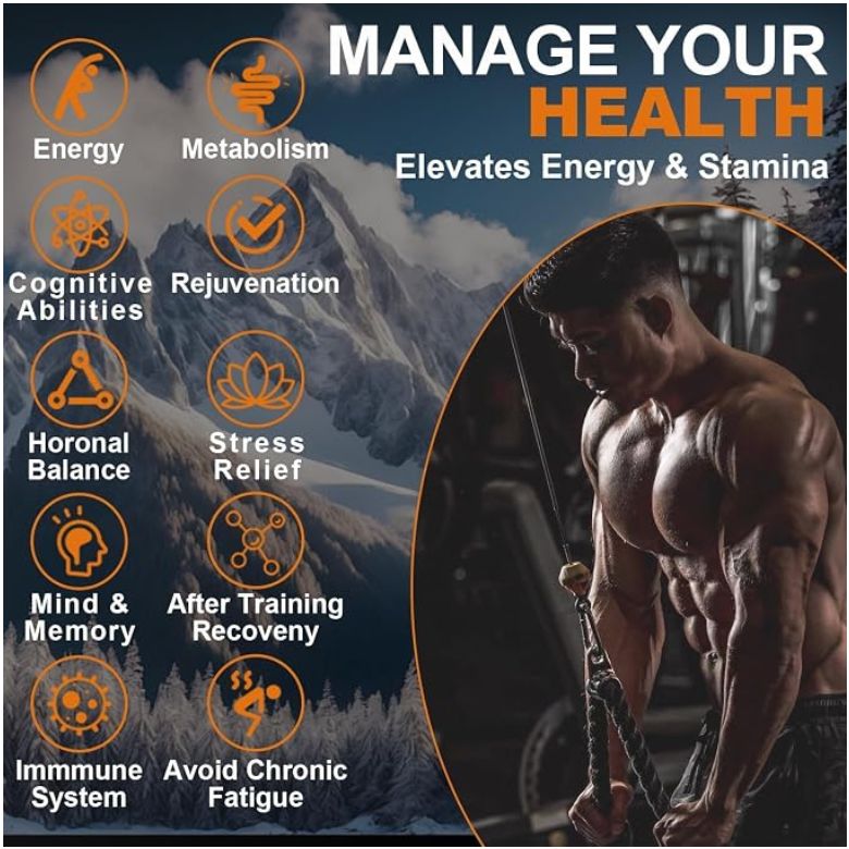 Premium Shilajit 20g | Ready-to-Use Shilajit