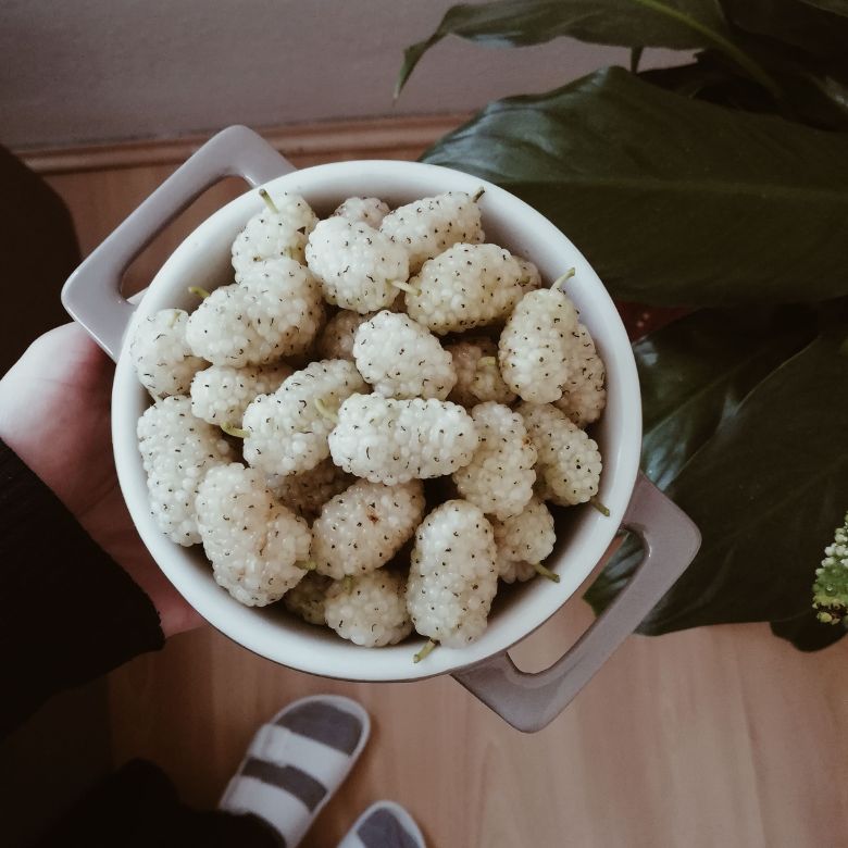 Premium Dried Mulberries (Khushk Shahtoot) | CTL Dry Fruits