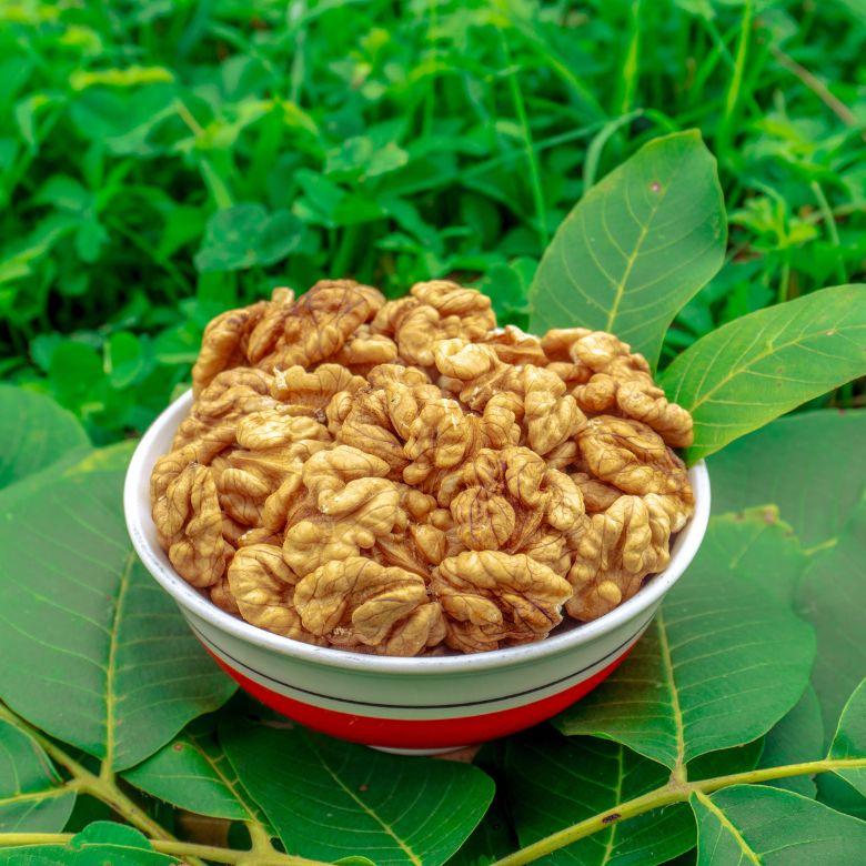 Premium Chitrali Walnut Kernels Without Shell – 800g