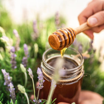 Pure Chitrali Honey 1kg | Best Value Raw Mountain Honey