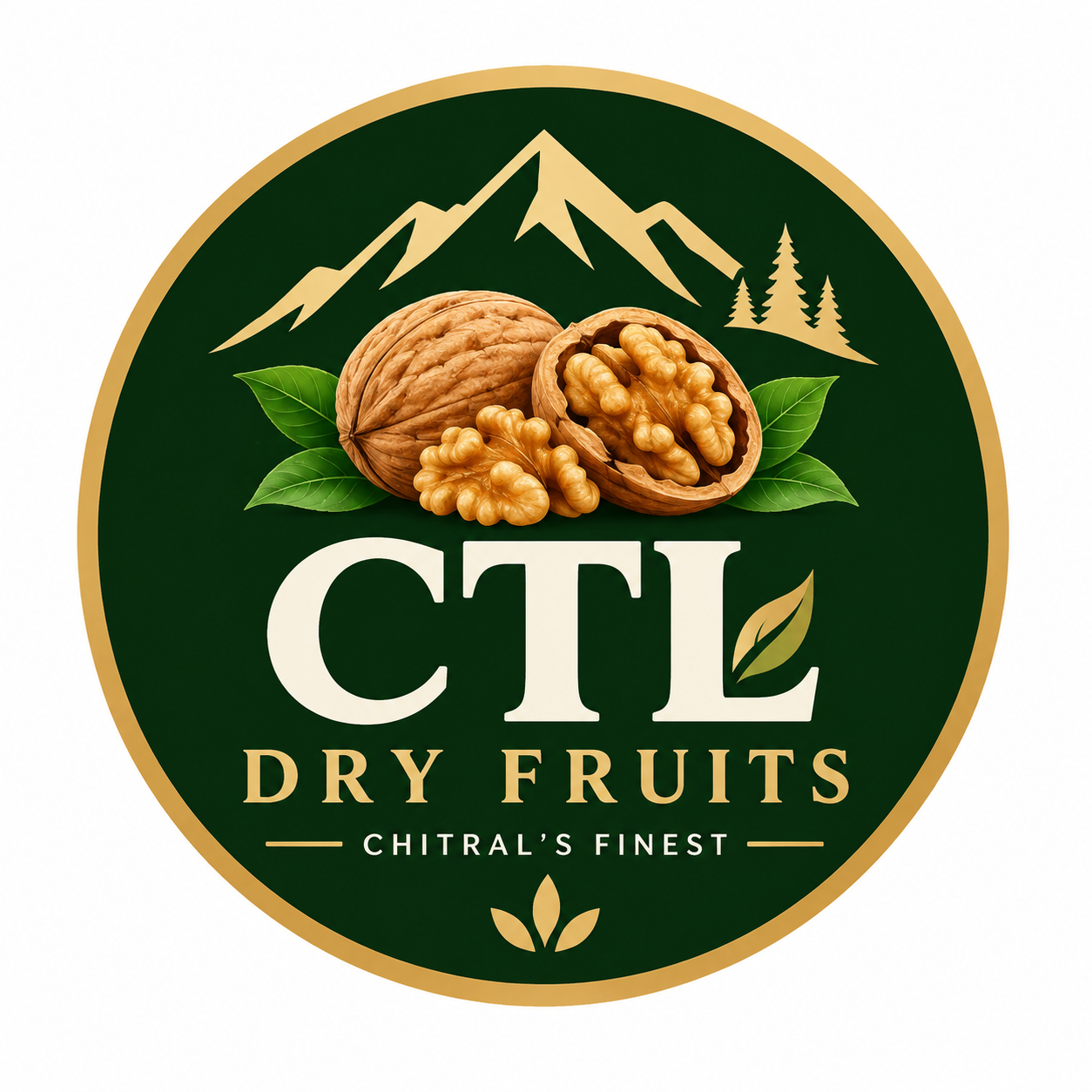 🌰 CTL Dry Fruits